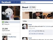 Bóng đá anh, ngoại hạng anh, lịch thi đấu euro 2012, Nhà sáng lập Facebook mở trang mới cho... cún